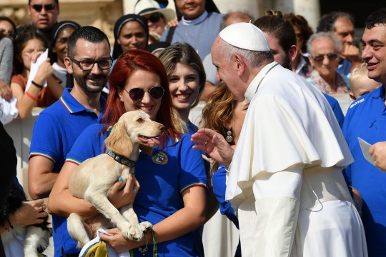 El Papa Francisco se encuentra con un perro durante su audiencia general semanal en la Plaza de San Pedro Roma, Italia - 18 de septiembre de 2019. 